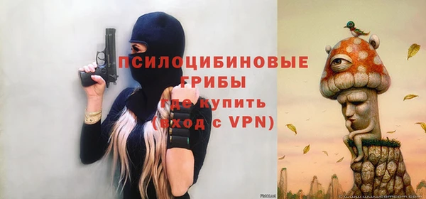 дживик Горно-Алтайск